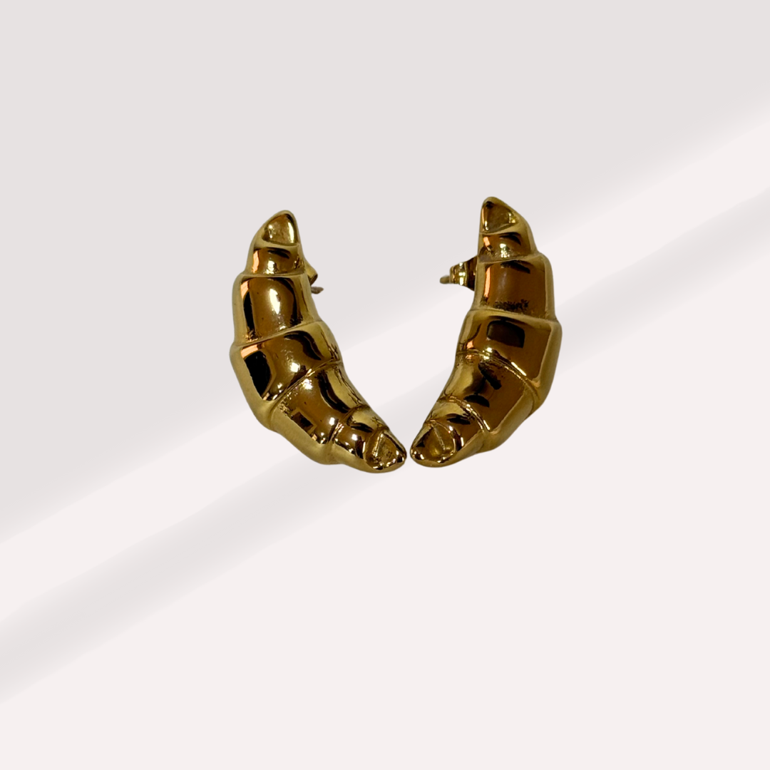 Aretes Cuasan